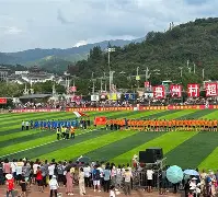 拳击场的恩怨对决   拳击场的恩怨对决