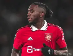 亚冠转会期走向成谜，布莱顿远射贴柱，球迷炸锅，球探报告显示潜力的简单介绍